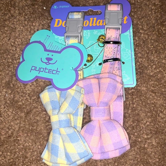 Dog Collar Set